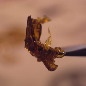 Lakeside hash lab mix